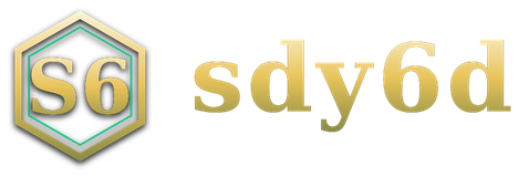 sdy6d logo